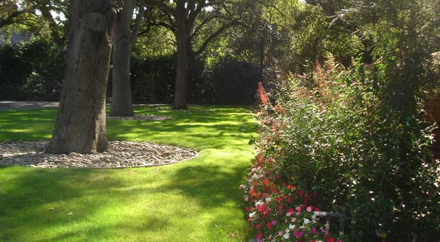 Landscape Design: Planting, Lawns, Softscaping