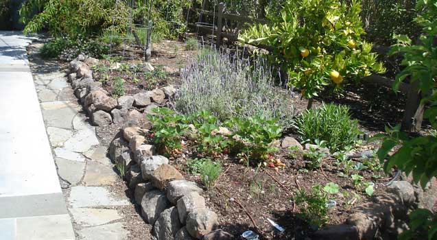 Landscape Design: Sustainable Landscaping, Edible Gardening